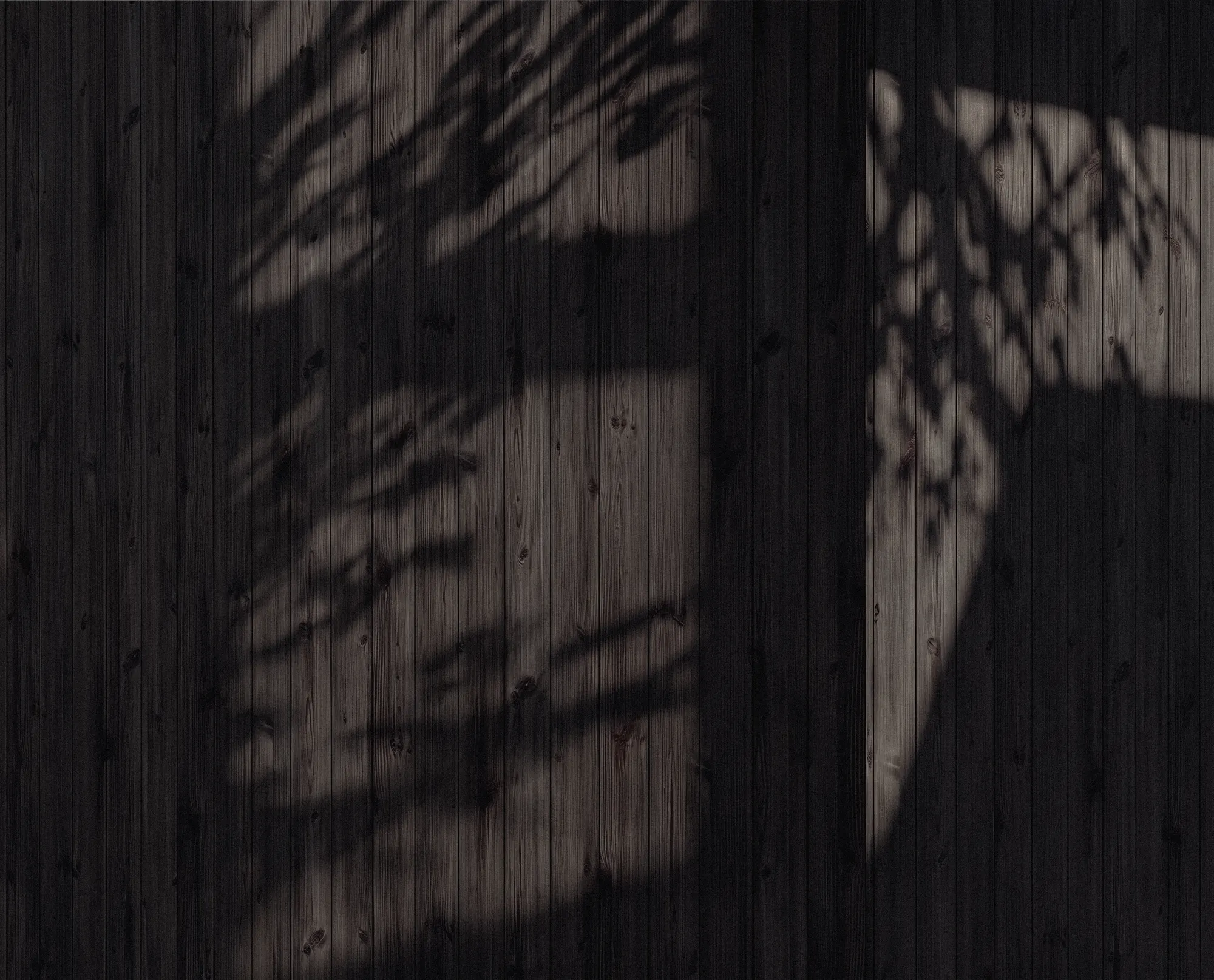 Close-up of the facade material — alternative 4