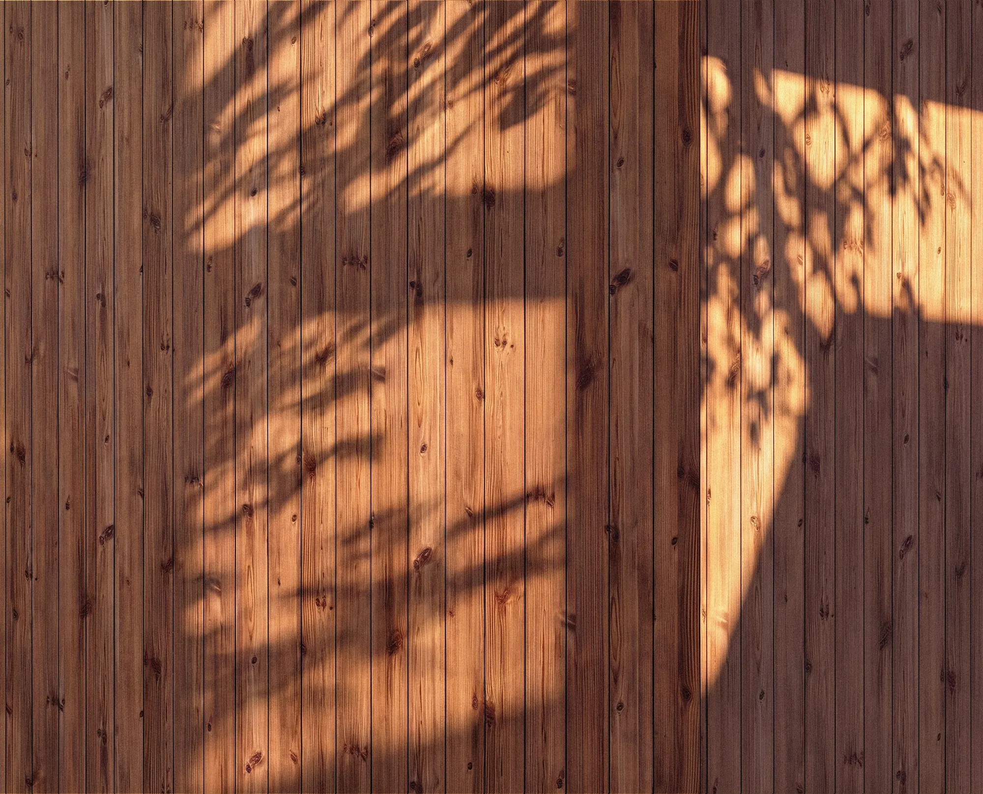 Close-up of the facade material